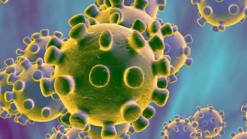 Coronavirus (COVID-19) la pandemia que preocupa al mundo entero